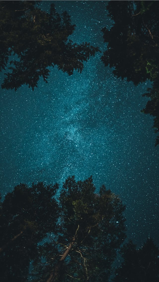 640x1136 starry night - space iPhone Wallpaper