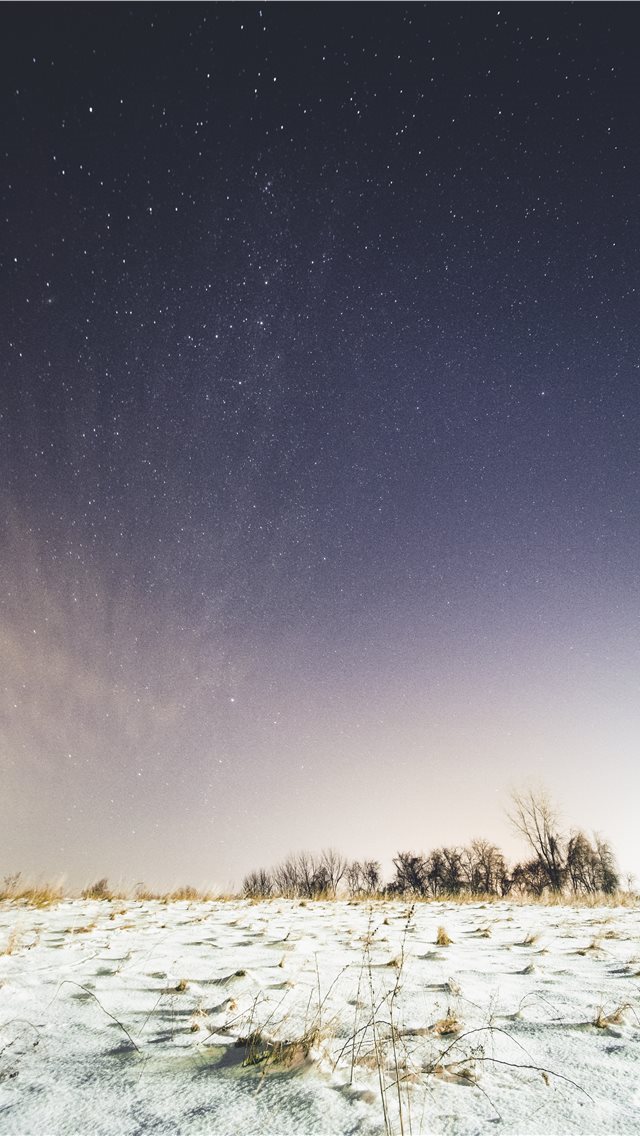 640x1136 snow covered ground under sky full of stars - grey iPhone Wallpaper