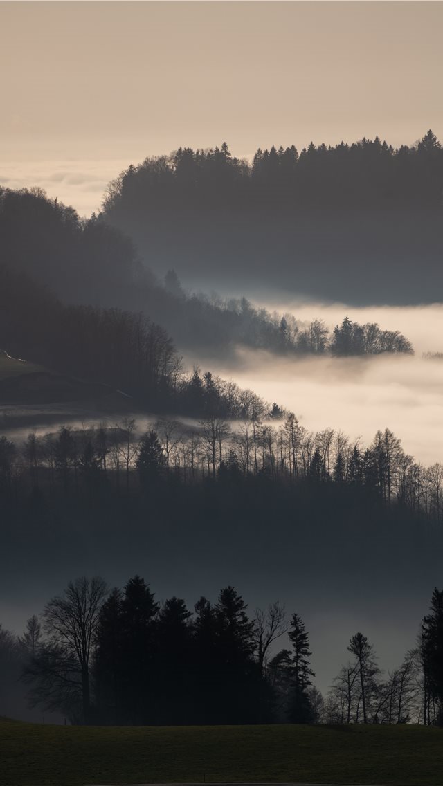 640x1136 green trees on mountain during daytime - grey iPhone Wallpaper