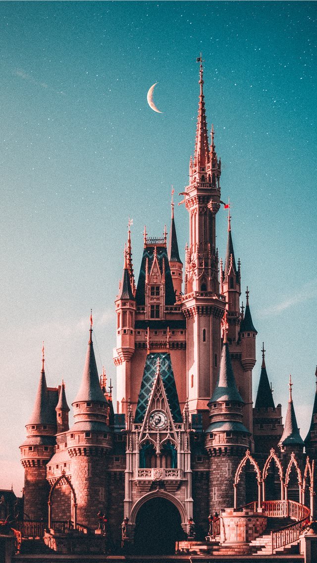 640x1136 blue and beige Disneyland castle - united states iPhone Wallpaper