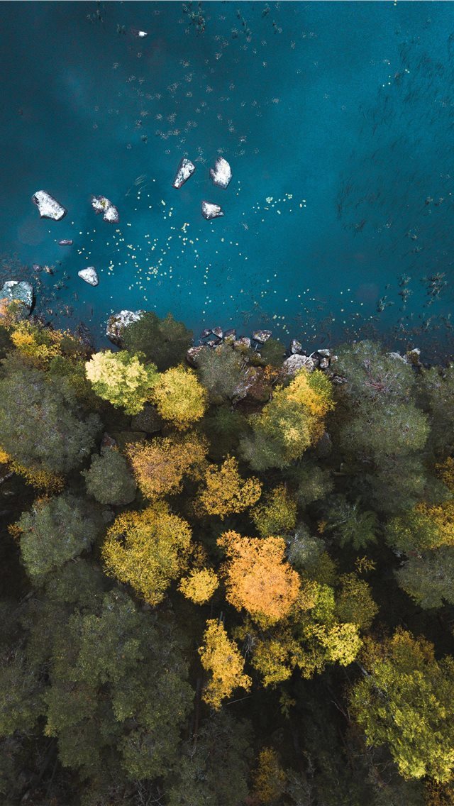 640x1136 aerial photography of body of water near trees - tree iPhone Wallpaper