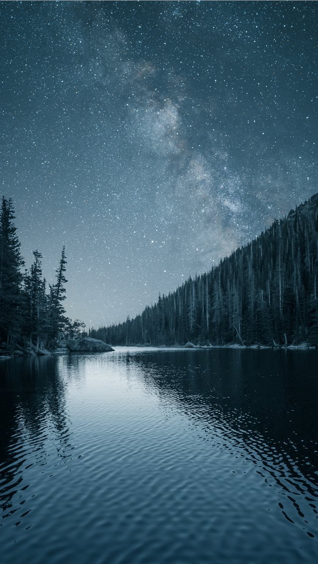 640x1136 trees near ocean - rocky mountains iPhone Wallpaper
