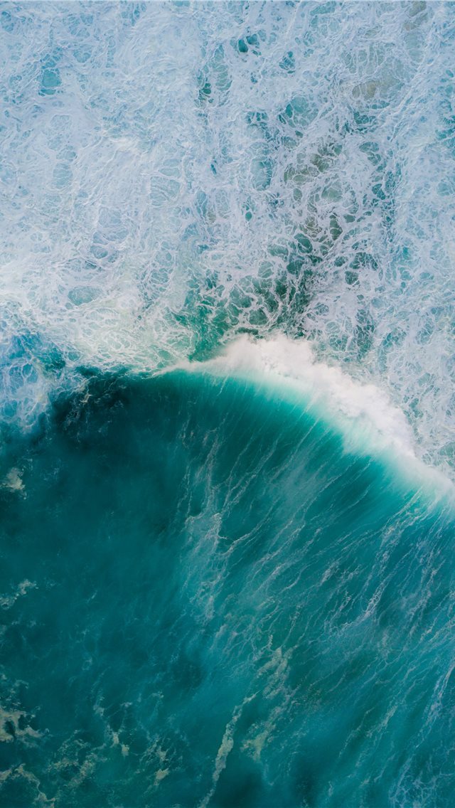 640x1136 calm ocean - bear iPhone Wallpaper