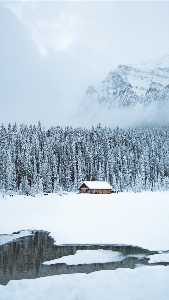 640x1136 brown shack beside forest during snow - canada iPhone Wallpaper