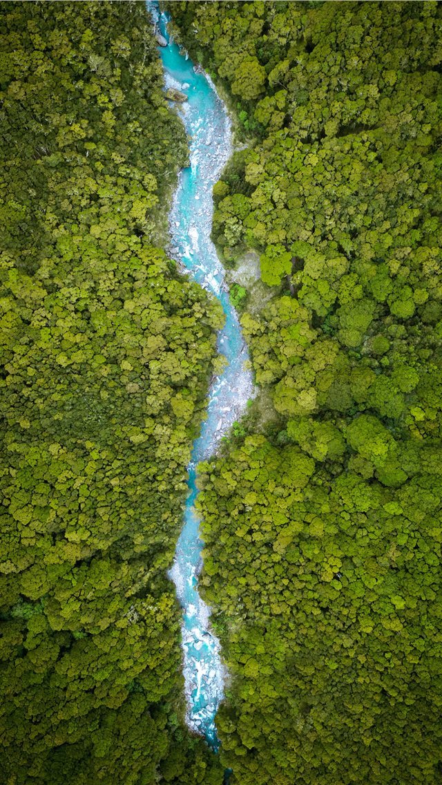 640x1136 river between trees on daytime - green iPhone Wallpaper