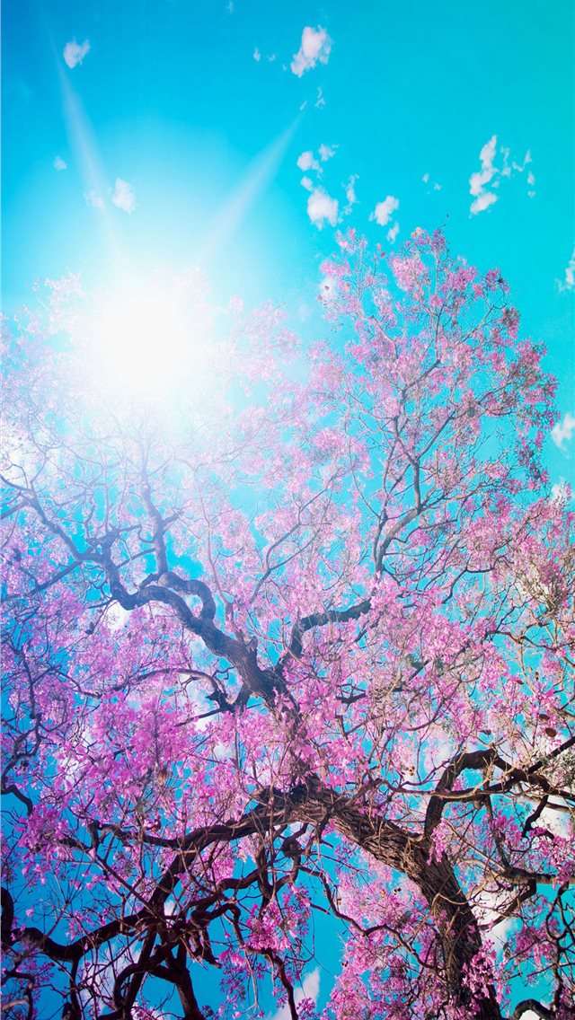 Best Spring iPhone HD Wallpapers - iLikeWallpaper