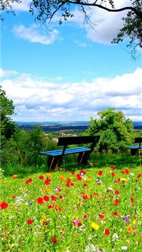 Clouds and Spring Flowers Best HD For Android Devi... wallpaper