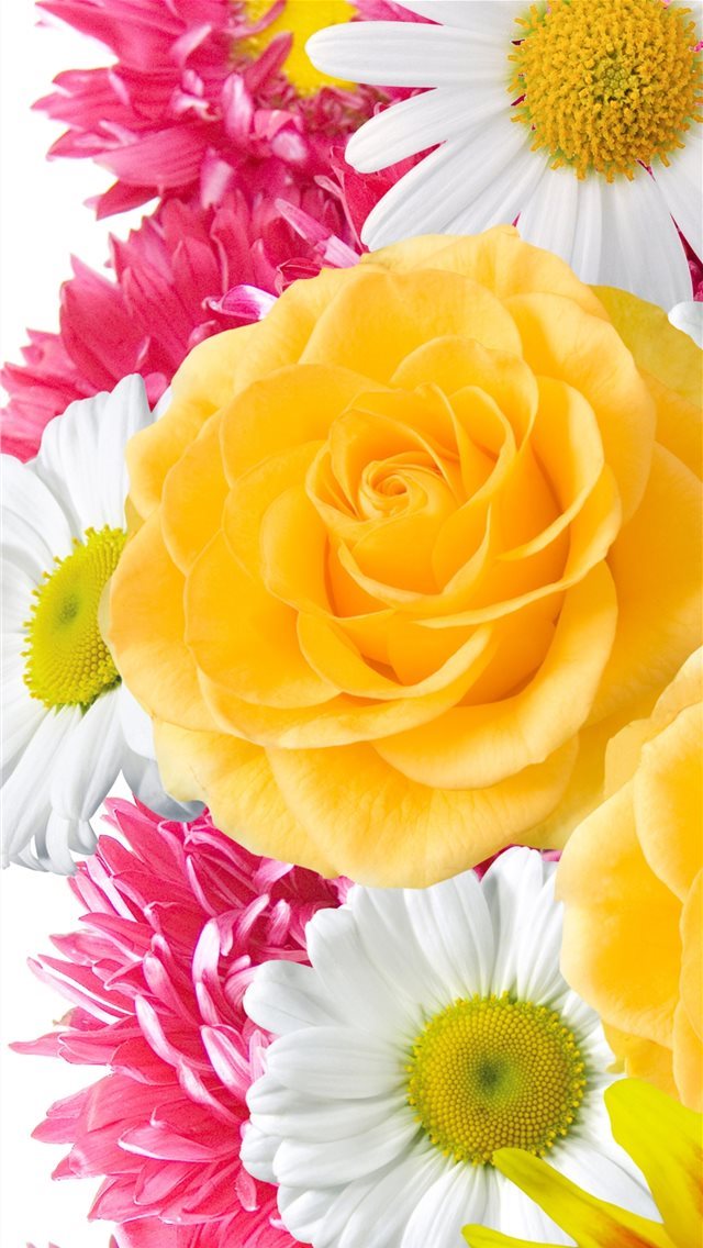 640x1136 Yellow Flowers High Quality Resolution gt Yodobi - trends iPhone Wallpaper