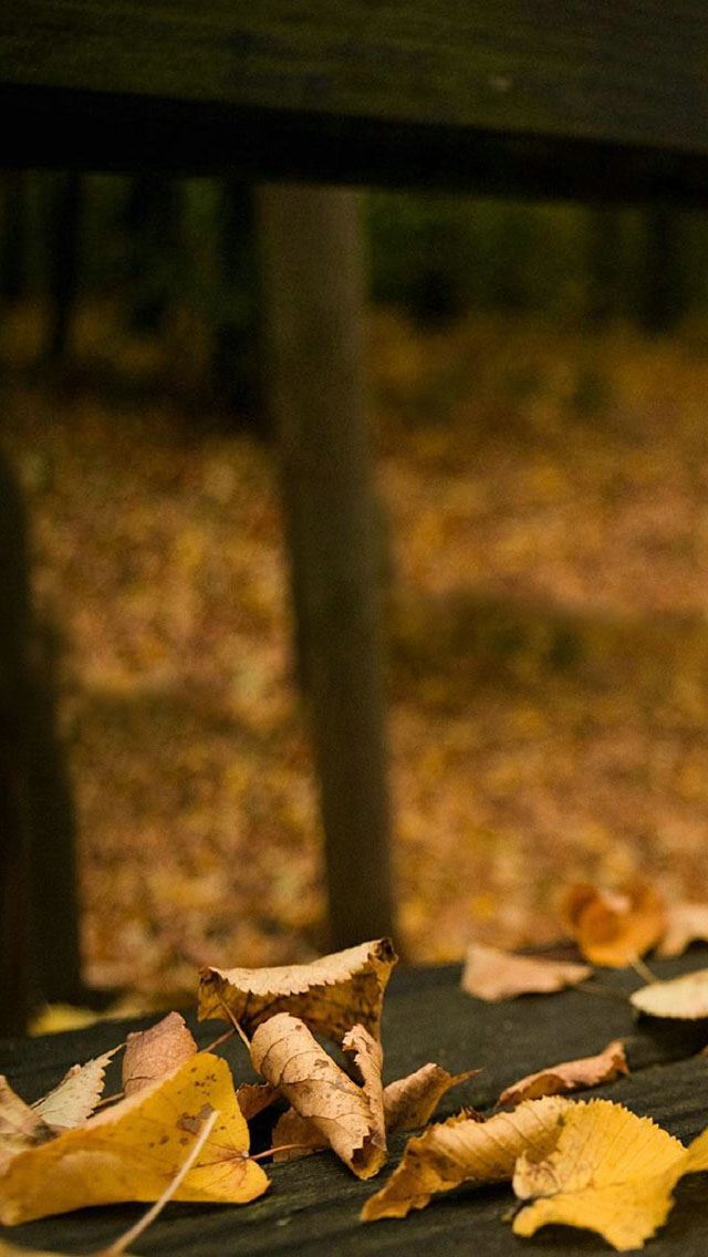 640x1136 Park deciduous - bokeh iPhone Wallpaper