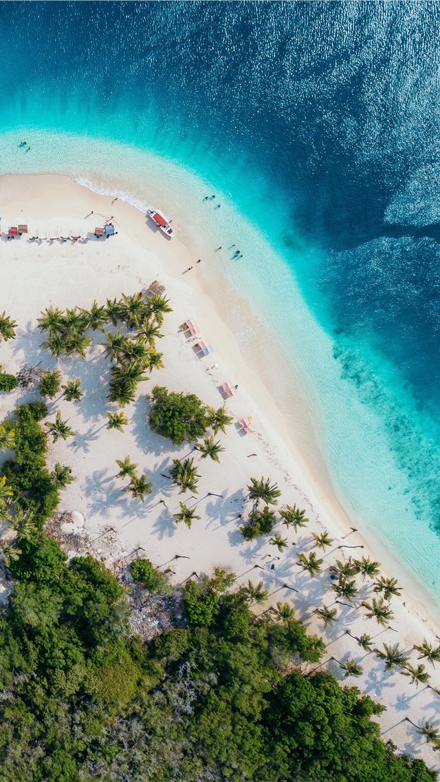 640x1136 people on beach island during daytime - caracas iPhone Wallpaper