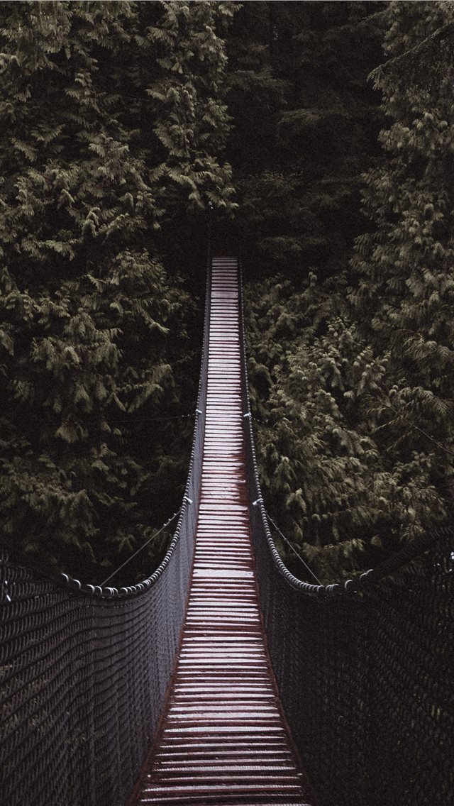 640x1136 brown and black bridge between trees - grey iPhone Wallpaper