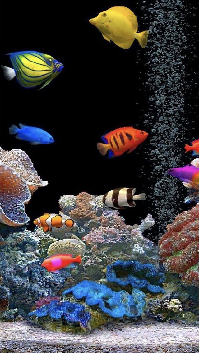 640x1136 Aquarium tank colorful - parallax iPhone Wallpaper