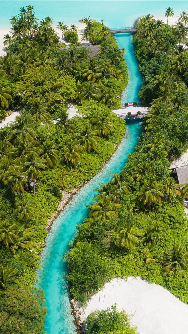 640x1136 water between trees - green iPhone Wallpaper