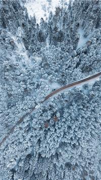 bird's eye view photo of empty way surrounded by p... wallpaper