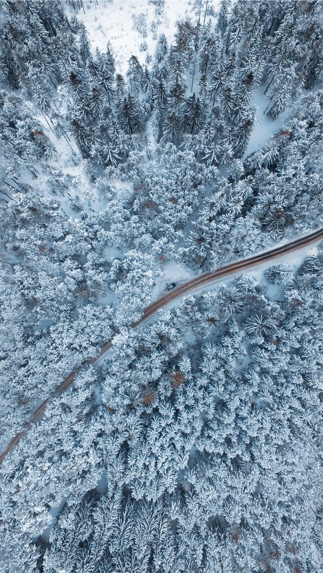 640x1136 bird's eye view photo of empty way surrounded by p... - austria iPhone Wallpaper