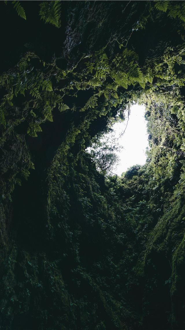 Inside old volcano in Terceira island Azores iPhone wallpaper 