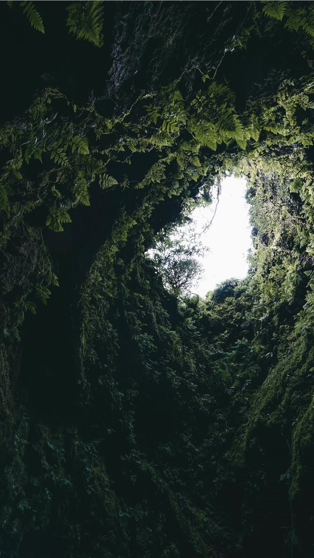 640x1136 Inside old volcano in Terceira island Azores - volcano iPhone Wallpaper