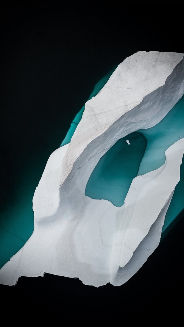 640x1136 white iceberg - bird iPhone Wallpaper