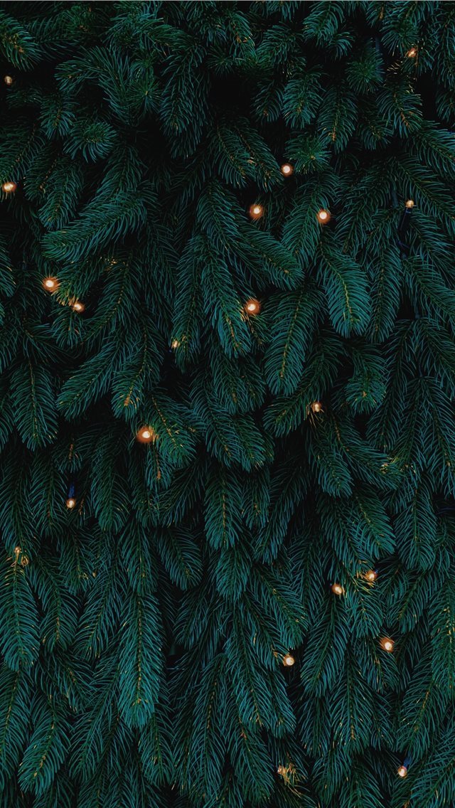 640x1136 green Christmas tree with lights - düsseldorf iPhone Wallpaper