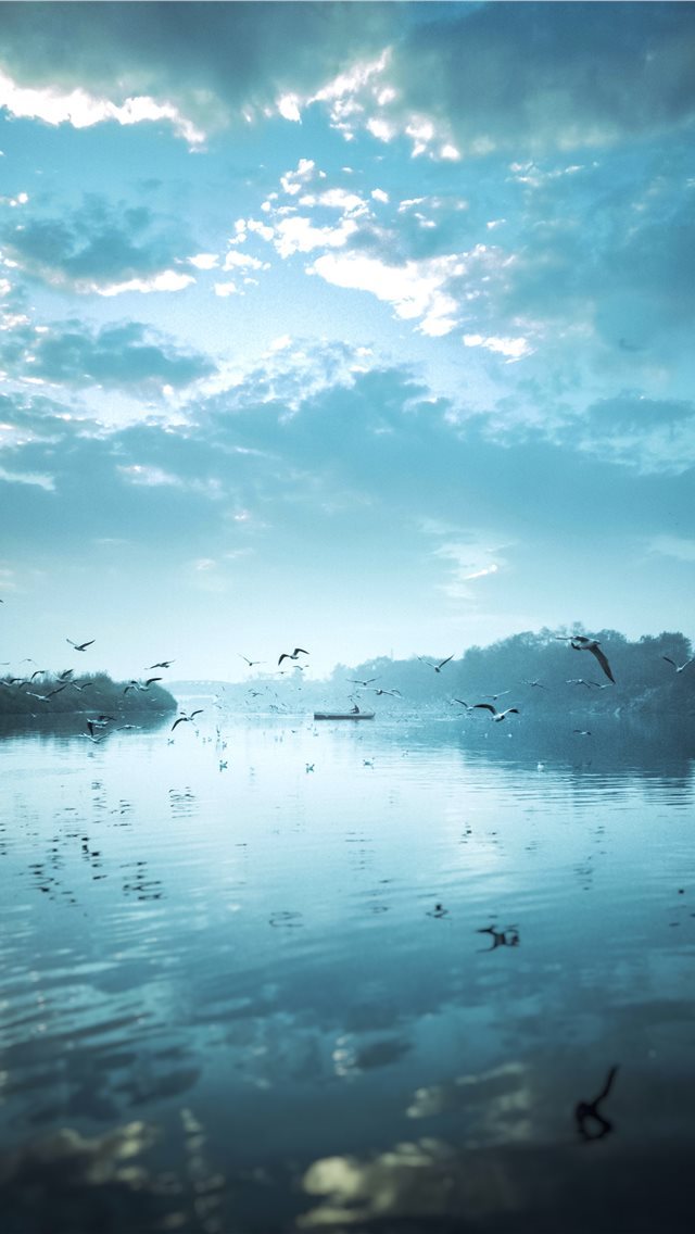 640x1136 birds flying near body of water under cloudy sky d... - scenery iPhone Wallpaper