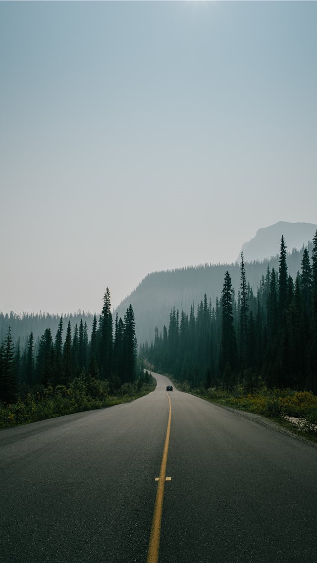 640x1136 asphalt road surrounded by trees under skies - canada iPhone Wallpaper