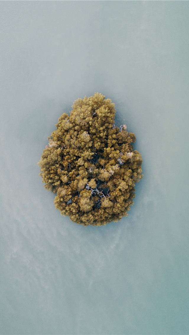 640x1136 aerial photography of an island - pineapple iPhone Wallpaper