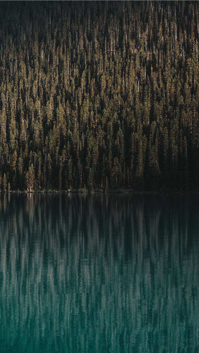 640x1136 Equilibrium - lake louise iPhone Wallpaper