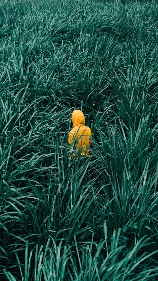 640x1136 person wearing orange hooded jacket in in green gr... - indonesia iPhone Wallpaper