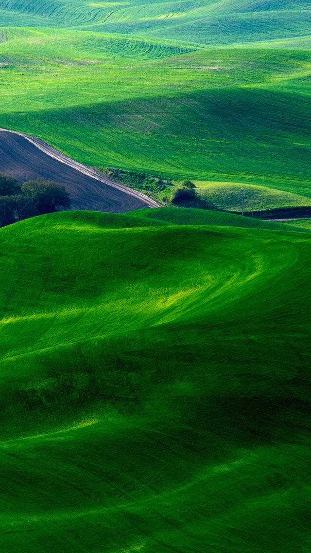 640x1136 Dreamy Green Fields  - dreamy iPhone Wallpaper