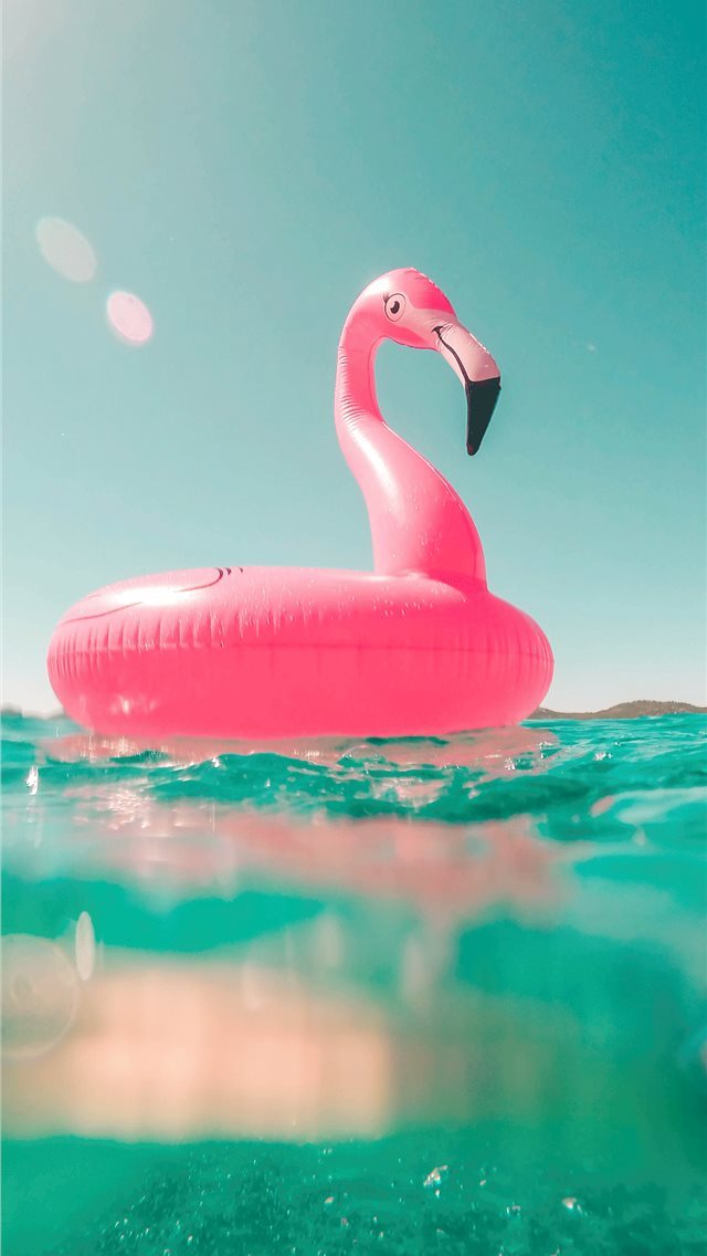 640x1136 Summer for 8 7 6 Free Download on 3Wallpapers - trends iPhone Wallpaper