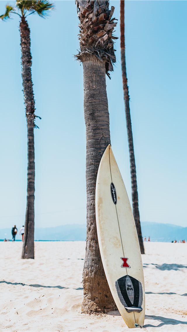 640x1136 white and black surfboard leaning on gray Mexican ... - palm tree iPhone Wallpaper