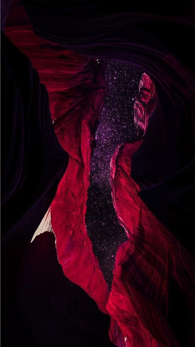 640x1136 red flower illustration -  iPhone Wallpaper