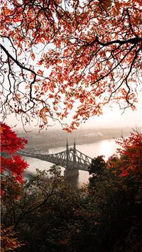 landscape photography of gray concrete bridge wallpaper