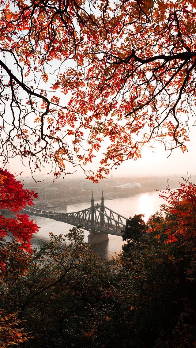 640x1136 landscape photography of gray concrete bridge - hungary iPhone Wallpaper