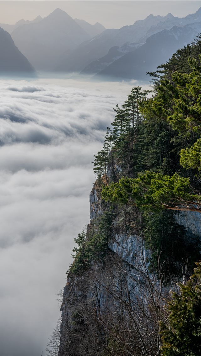 640x1136 green trees on mountain under white clouds and blu... - grey iPhone Wallpaper