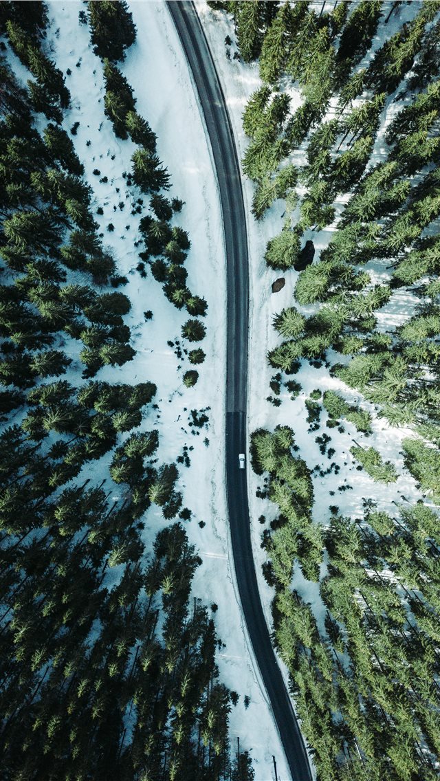 aerial photography vehicle on road surrounded by t... iPhone wallpaper 