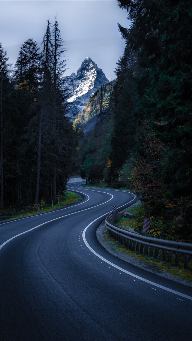 640x1136 gray concrete pave street in between of trees - tree iPhone Wallpaper