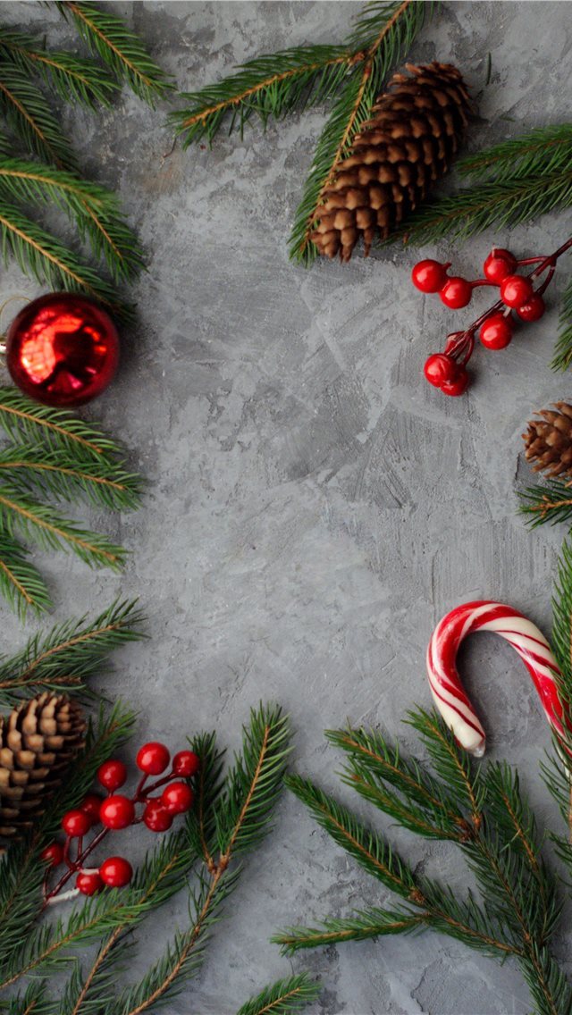 640x1136 flat lay photography of pine cones candy cane gree... - bird iPhone Wallpaper