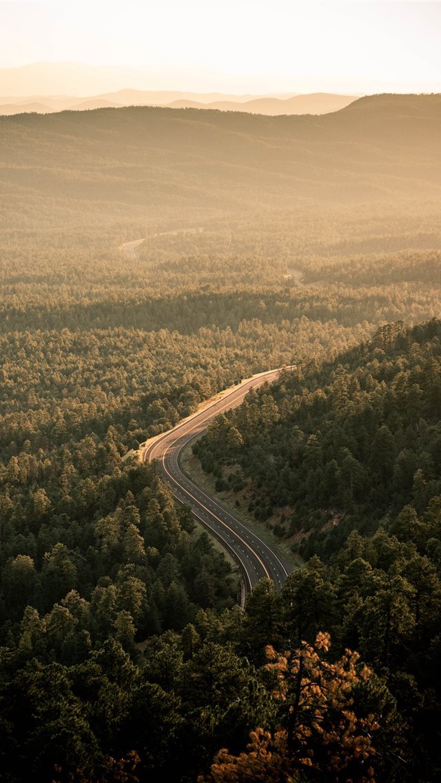 640x1136 aerial view of green trees during daytime -  iPhone Wallpaper