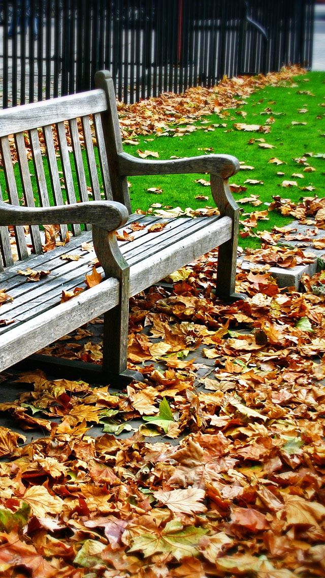 640x1136 Bench and deciduous - gray iPhone Wallpaper