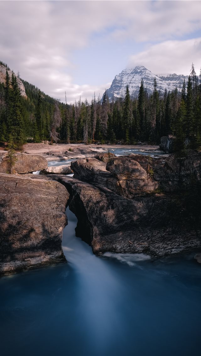 640x1136 green pine trees near river during daytime - canada iPhone Wallpaper