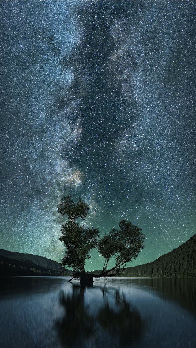 green leafed tree on body of water under starry sk... iPhone wallpaper 