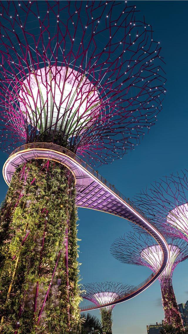 640x1136 purple tree light Singapore landmark - singapore iPhone Wallpaper