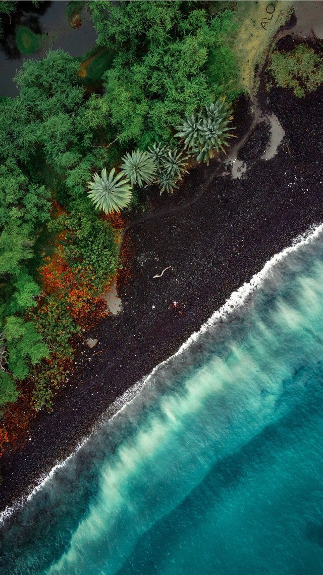 640x1136 aerial view of green trees beside body of water du... - nature iPhone Wallpaper
