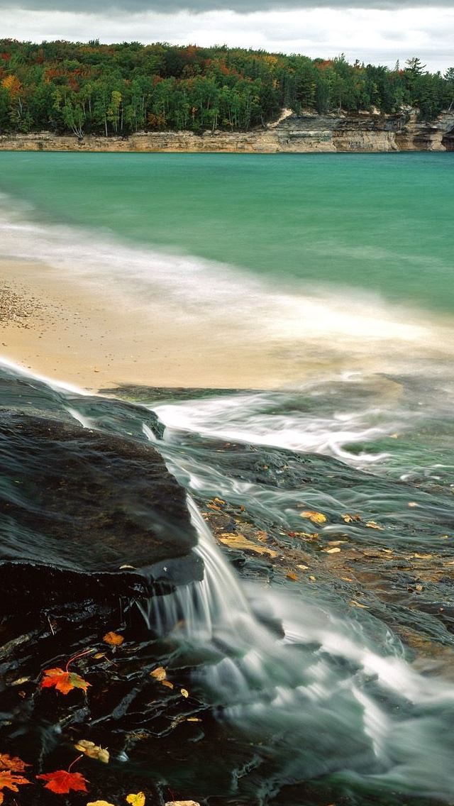 640x1136 Chapel Beach Lake Superior - tree iPhone Wallpaper