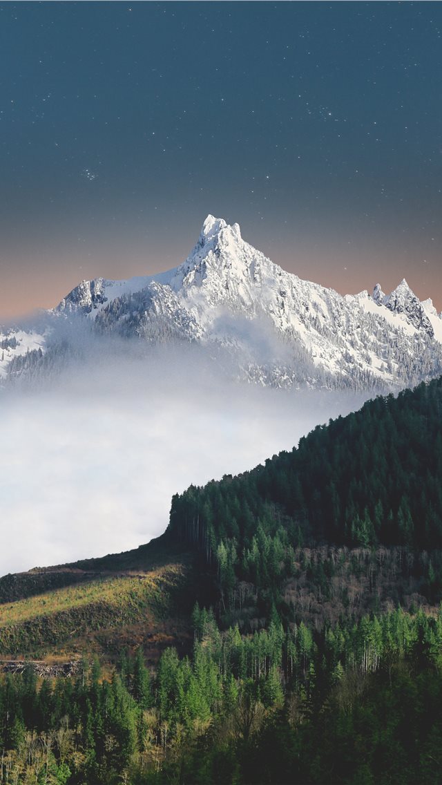 640x1136 aerial photography of trees distance with white mo... - grey iPhone Wallpaper