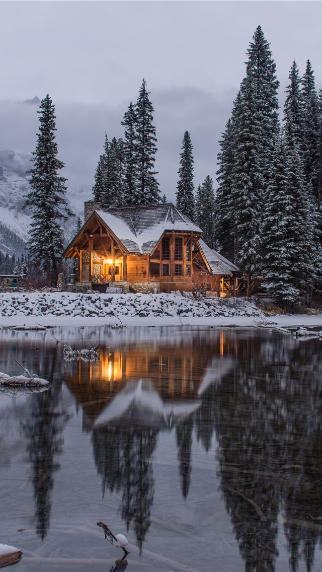 640x1136 wooden house near pine trees and pond coated with ... - canada iPhone Wallpaper