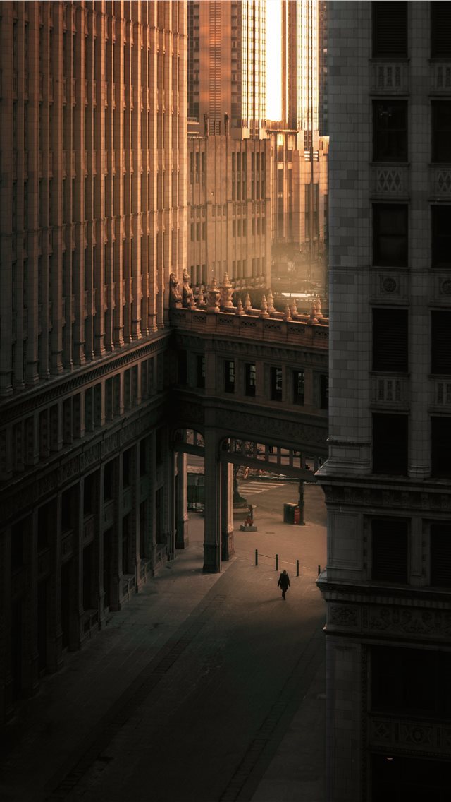 640x1136 close up photography of buildings during daytime - chicago iPhone Wallpaper