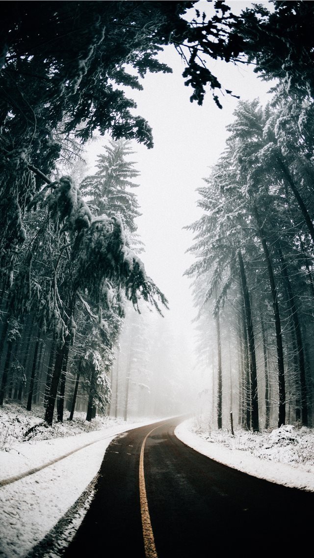 640x1136 asphalt road in between trees covered with snow - serbia iPhone Wallpaper
