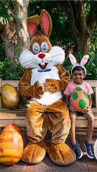 Beacon Eggsplorer Chocolatey smiles and good vibes... wallpaper